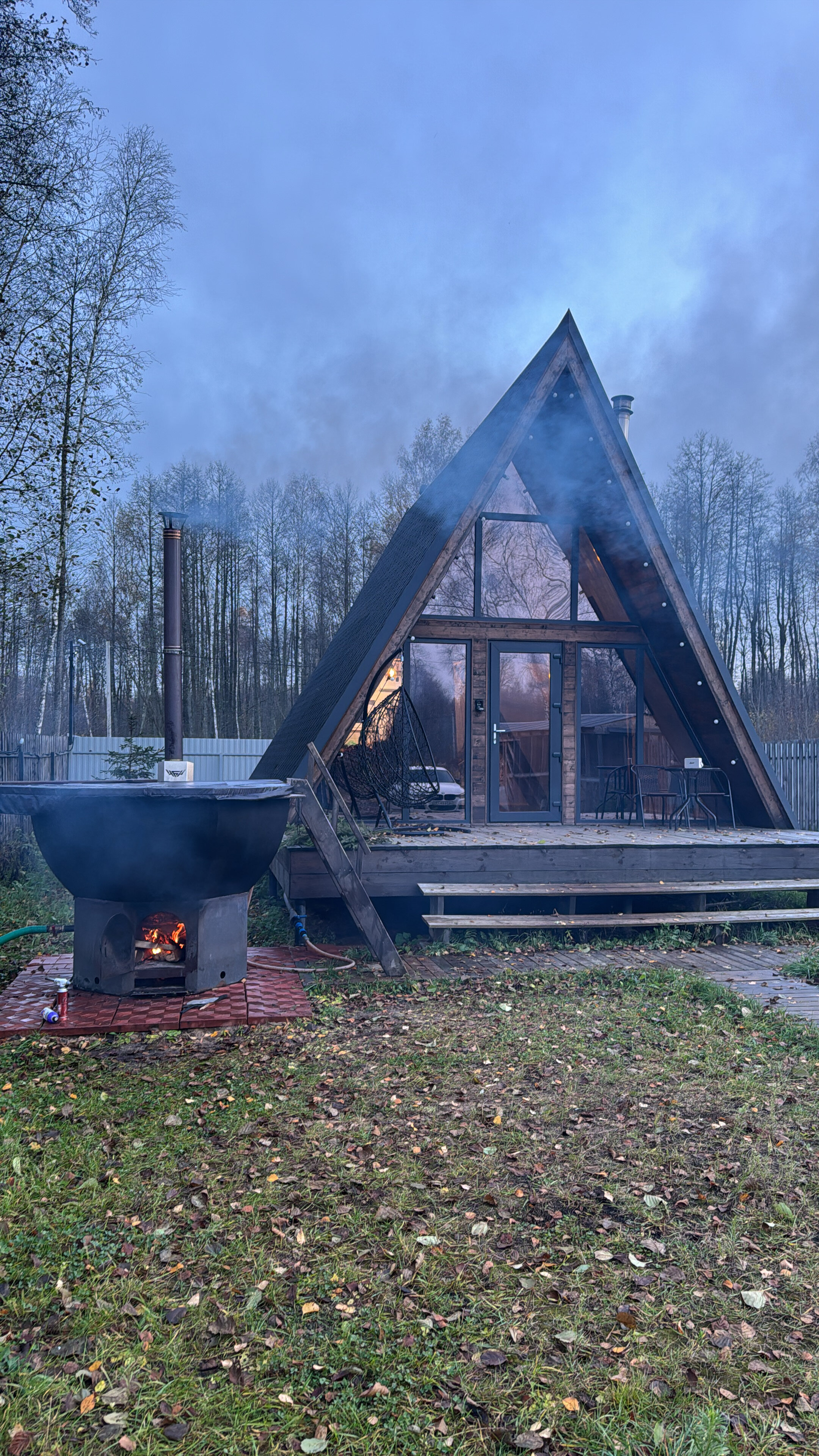 Фото Forest life