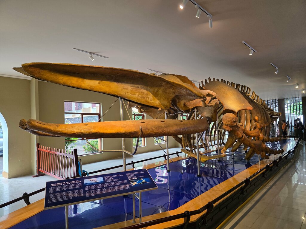 Museum Museum, Nha Trang, photo