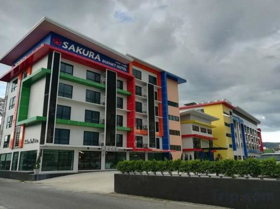Фото Sakura Budget Hotel