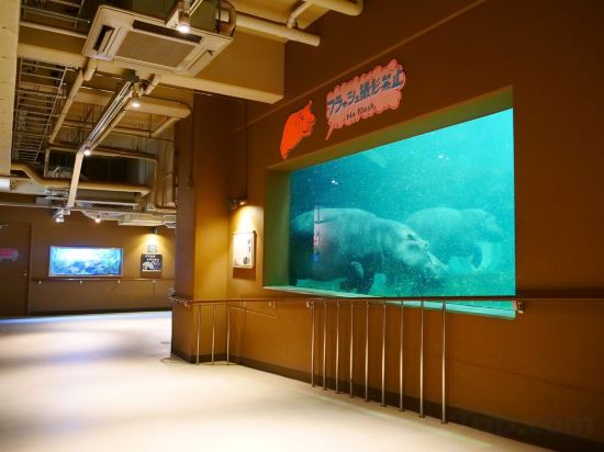 Фото Hotel Wing International Asahikawa Ekimae