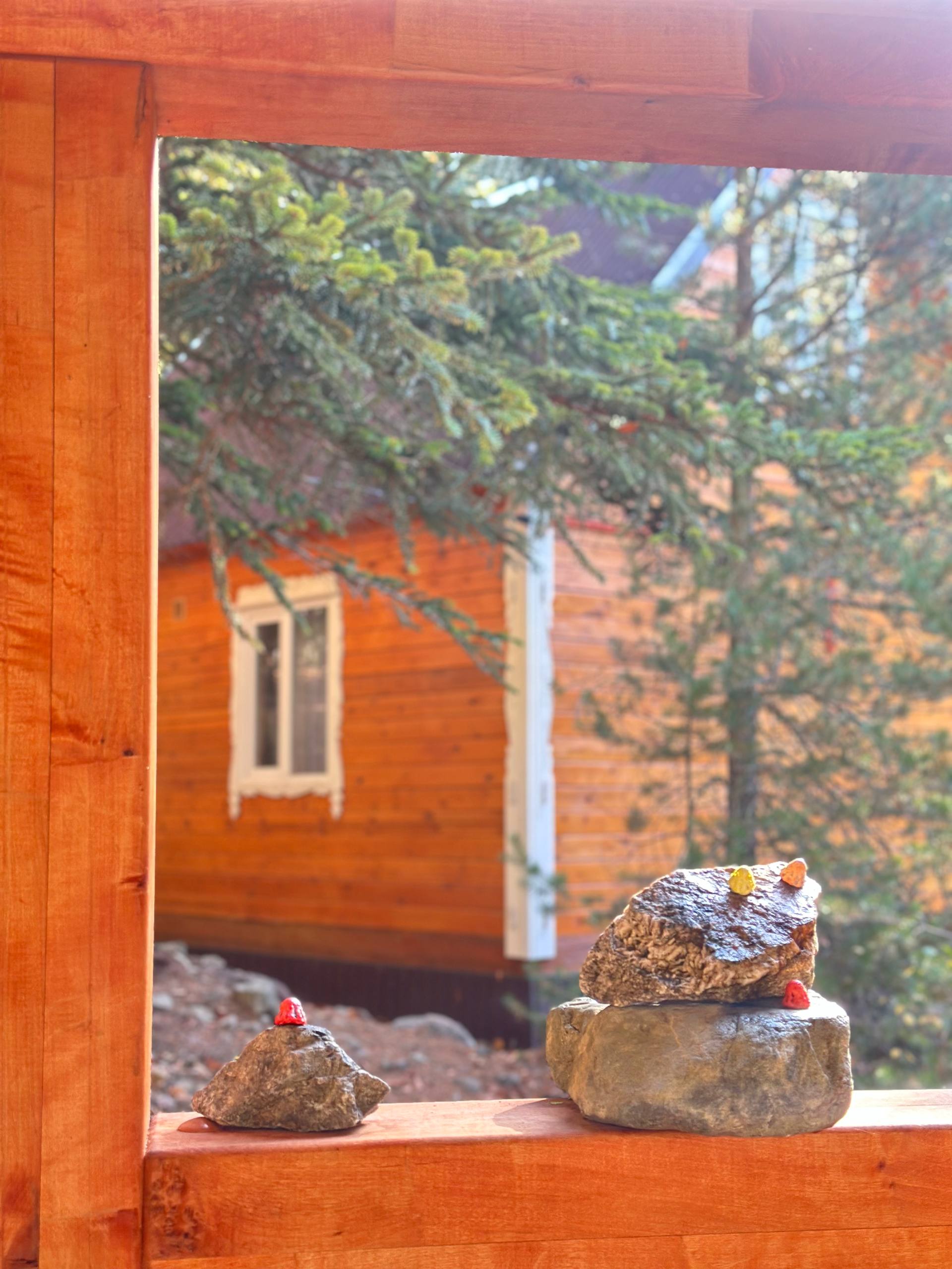 Фото Мухоморье