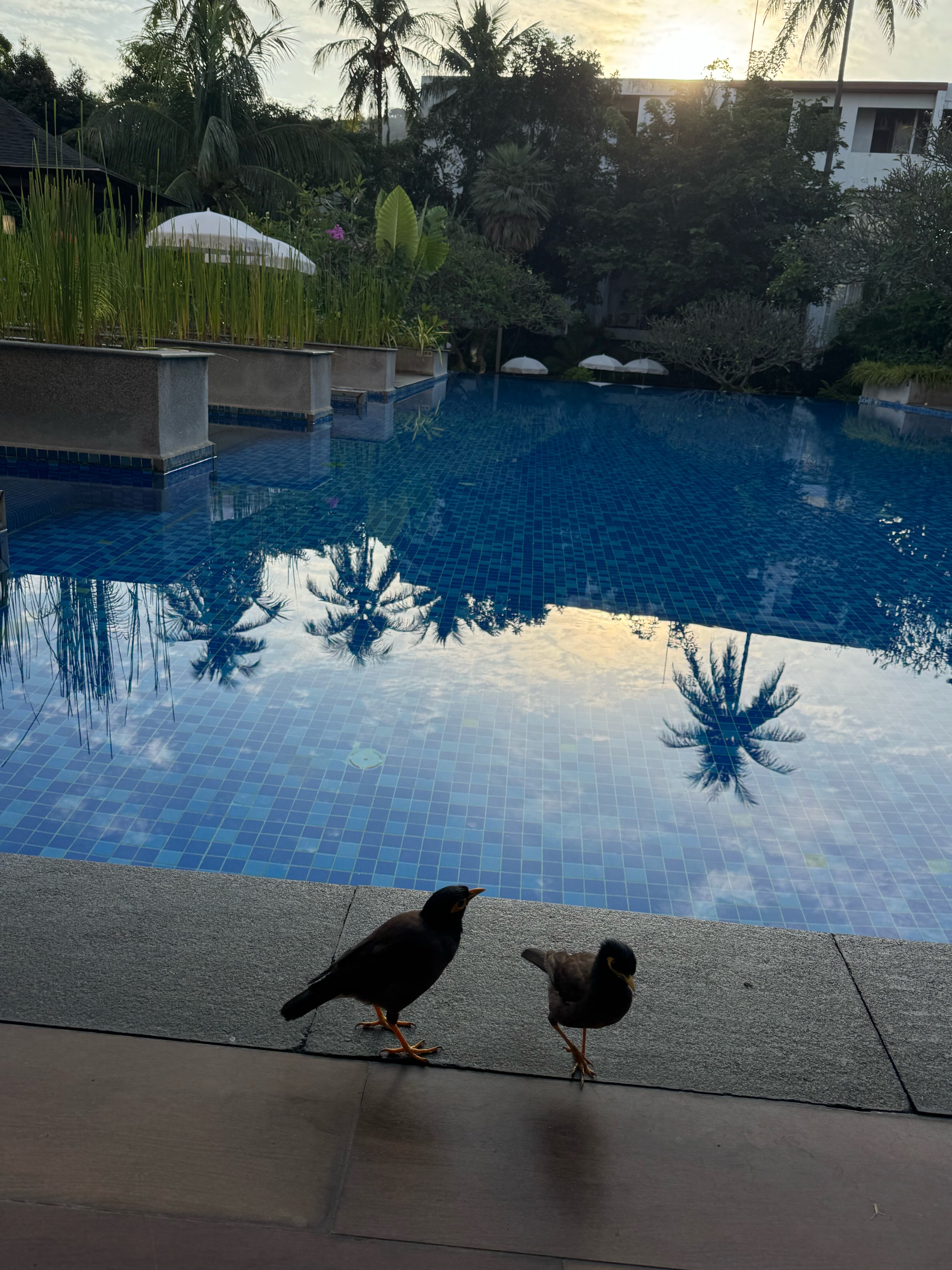 Фото Peach Blossom Resort & Pool Villa