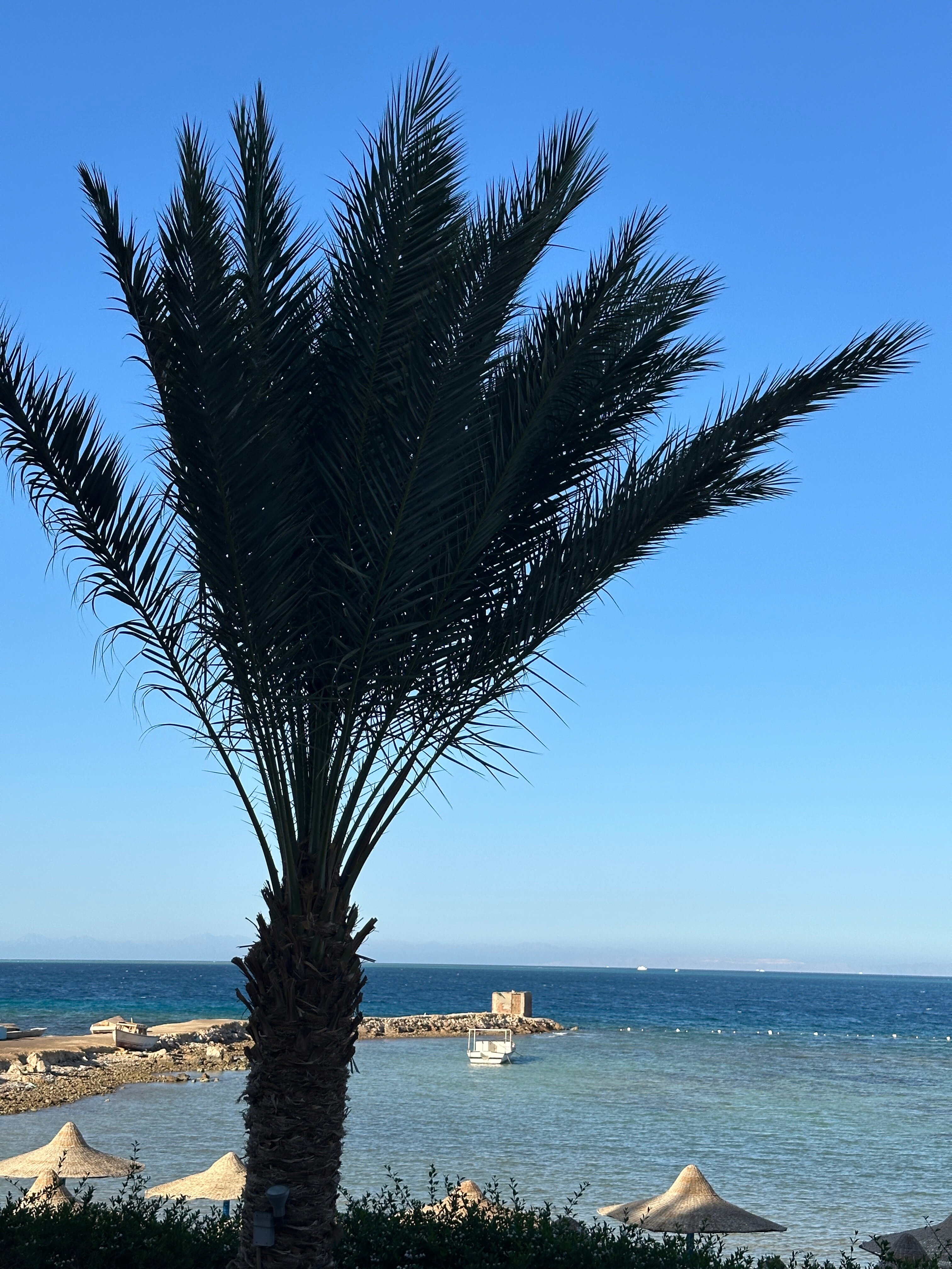 Фото Royal Star Beach Resort