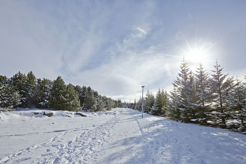 Фото Reykjavik Natura - Berjaya Iceland Hotels