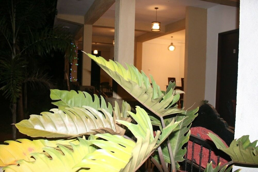 Фото Dambulla Holiday Home