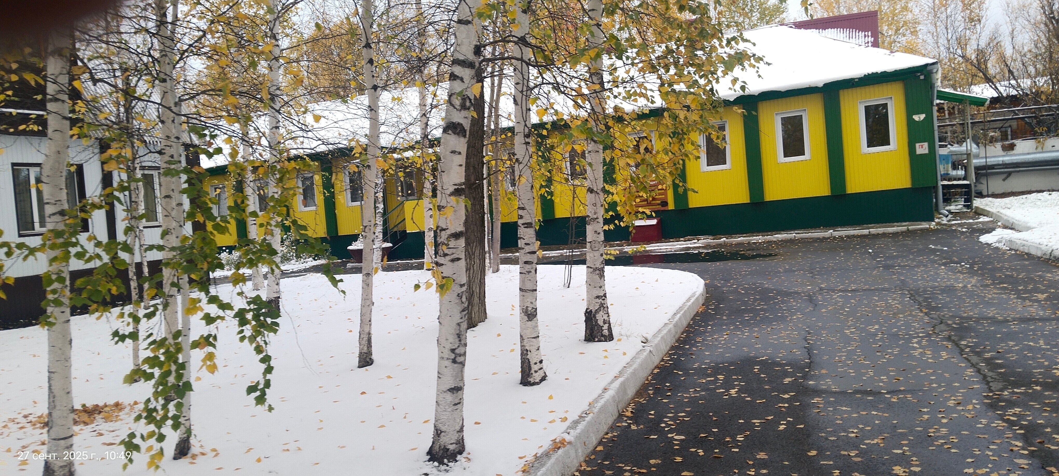 Фото Березка