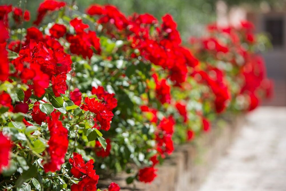 Фото Ca' Masawalsa