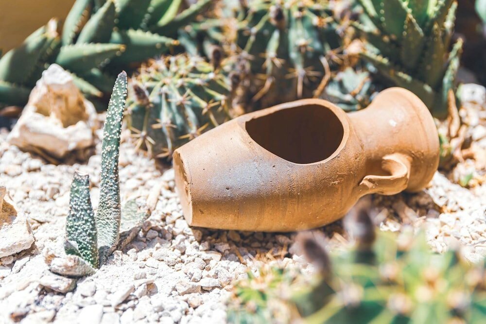 Фото Casa De La Sera