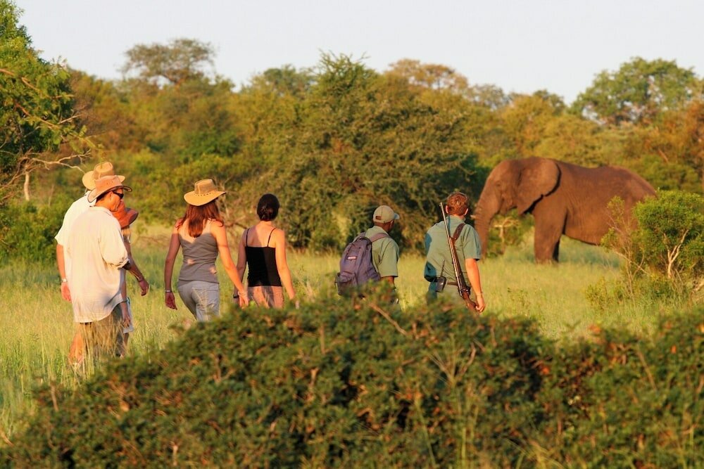 Фото Rhino Walking Safaris
