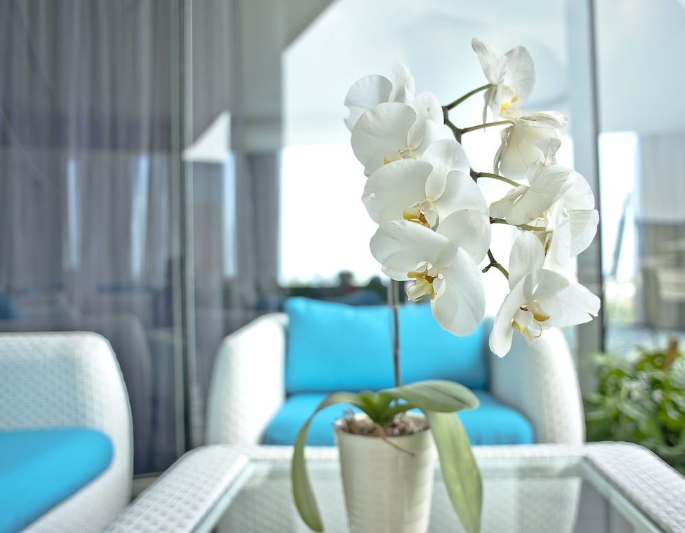 Фото Sensa Hotel