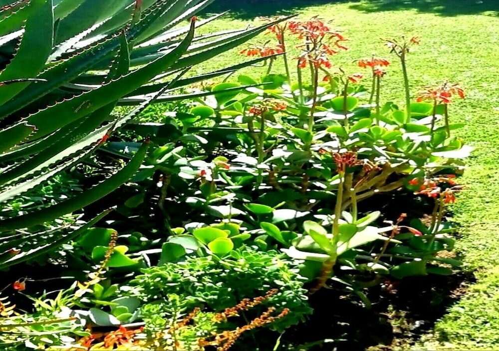 Фото De Wingerd Wijnland Lodge