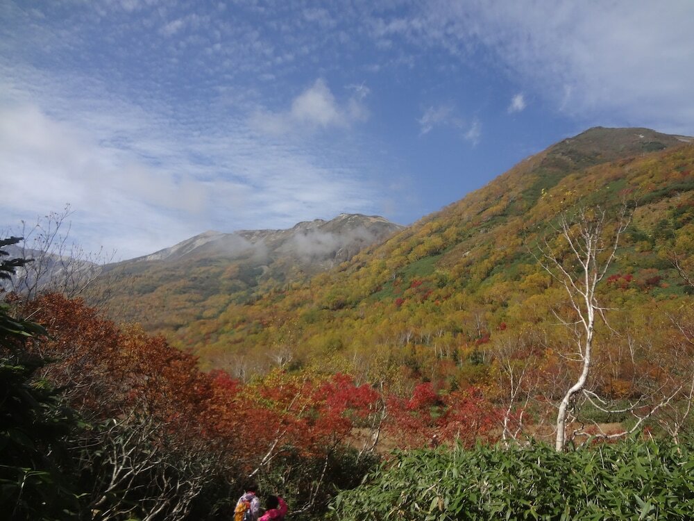 Фото Pension Alps Hakuba