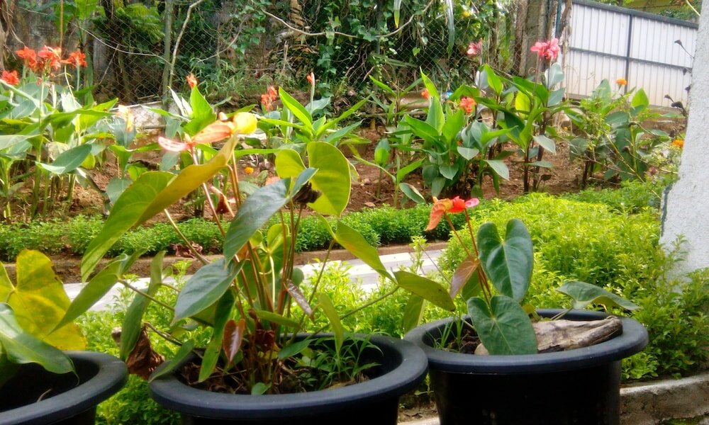 Фото Miracle Villa