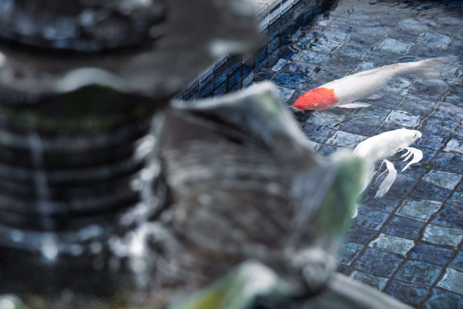 Фото Best Western Plus Coco Palu