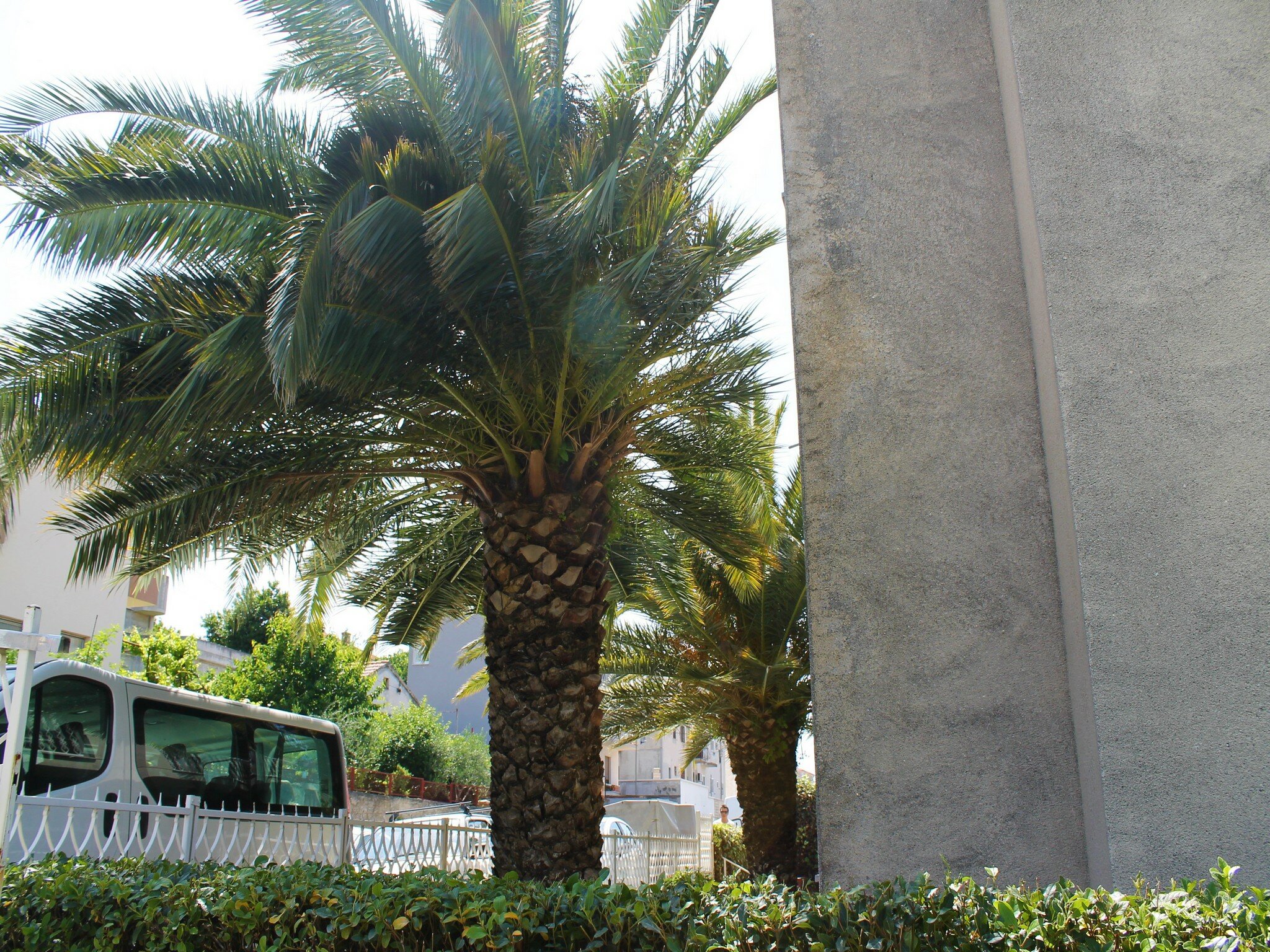 Фото Katija Apartments