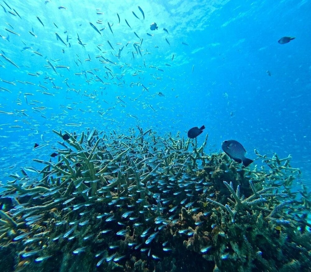 Фото Eco Village Iriomote