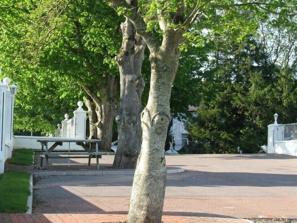 Фото Ardgort Country House