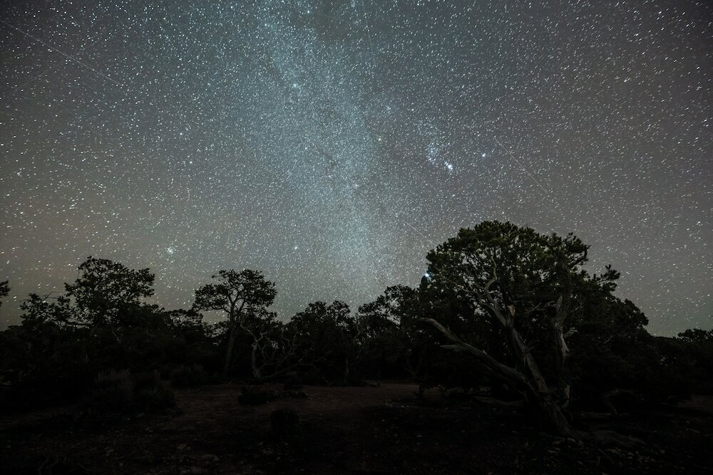 Фото Yavapai Lodge