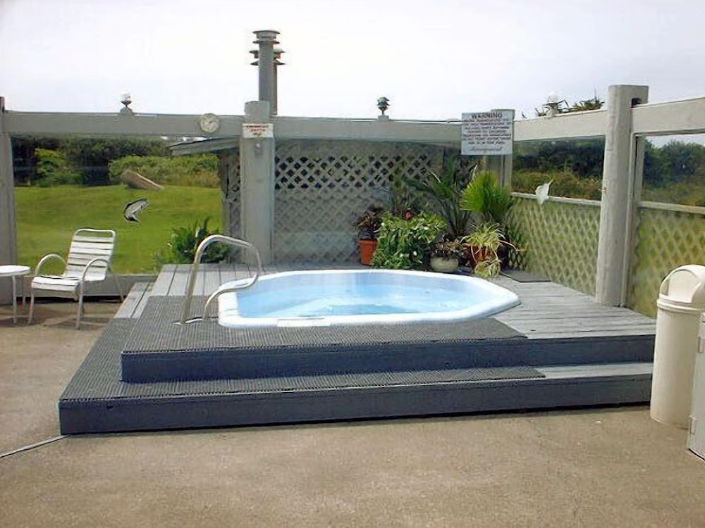 Фото The Grey Gull