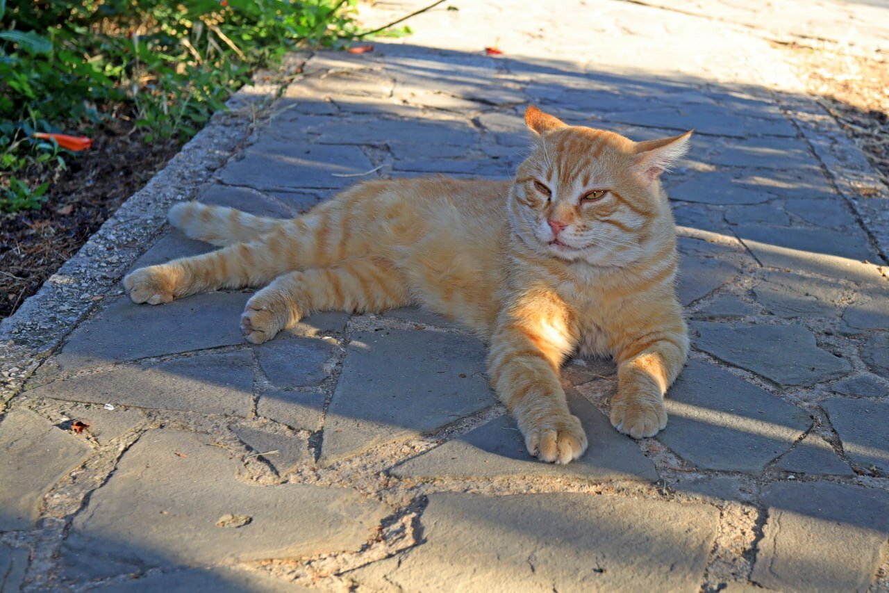 Фото Казантип центр