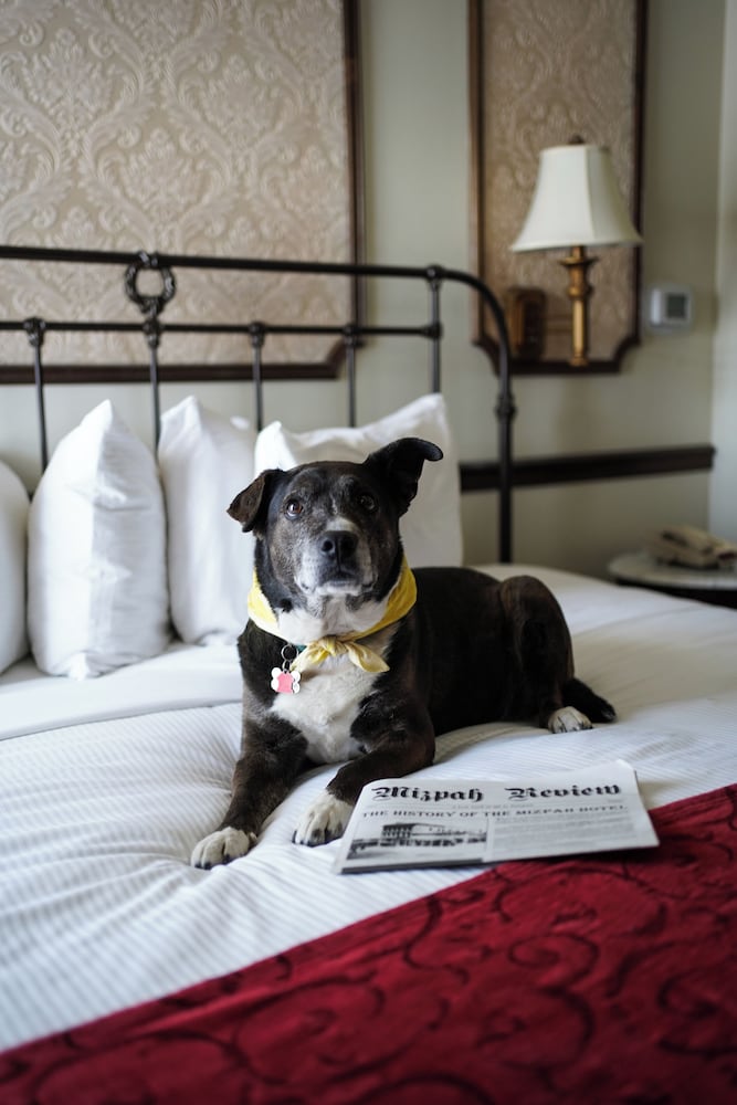 Фото Mizpah Hotel