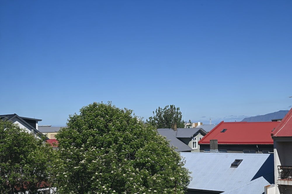 Фото Hotel Local 101