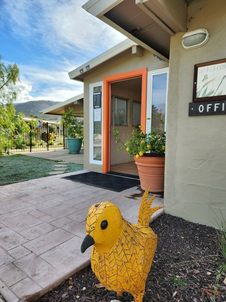 Фото Contenta Inn