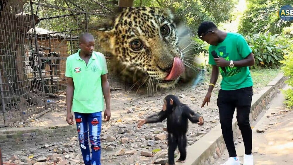 Фото King's Conference Centre