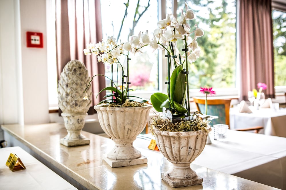 Фото VitalHotel Ascona