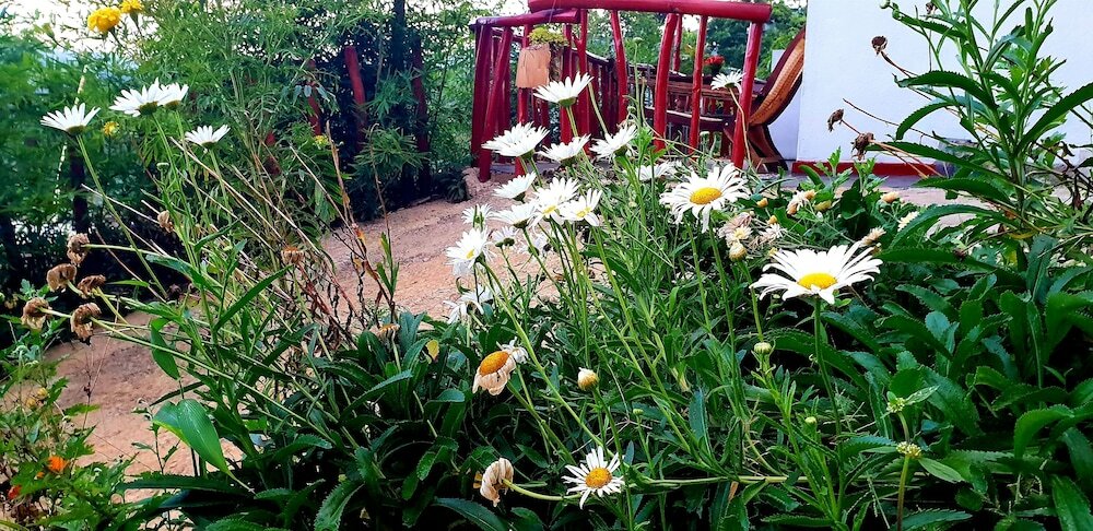 Фото Adannz view