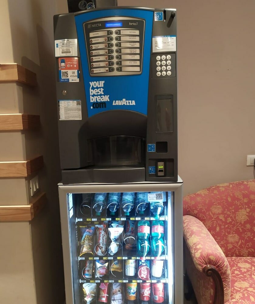 Фото New Paradise