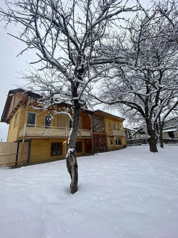 Фото Art Villa Bakuriani