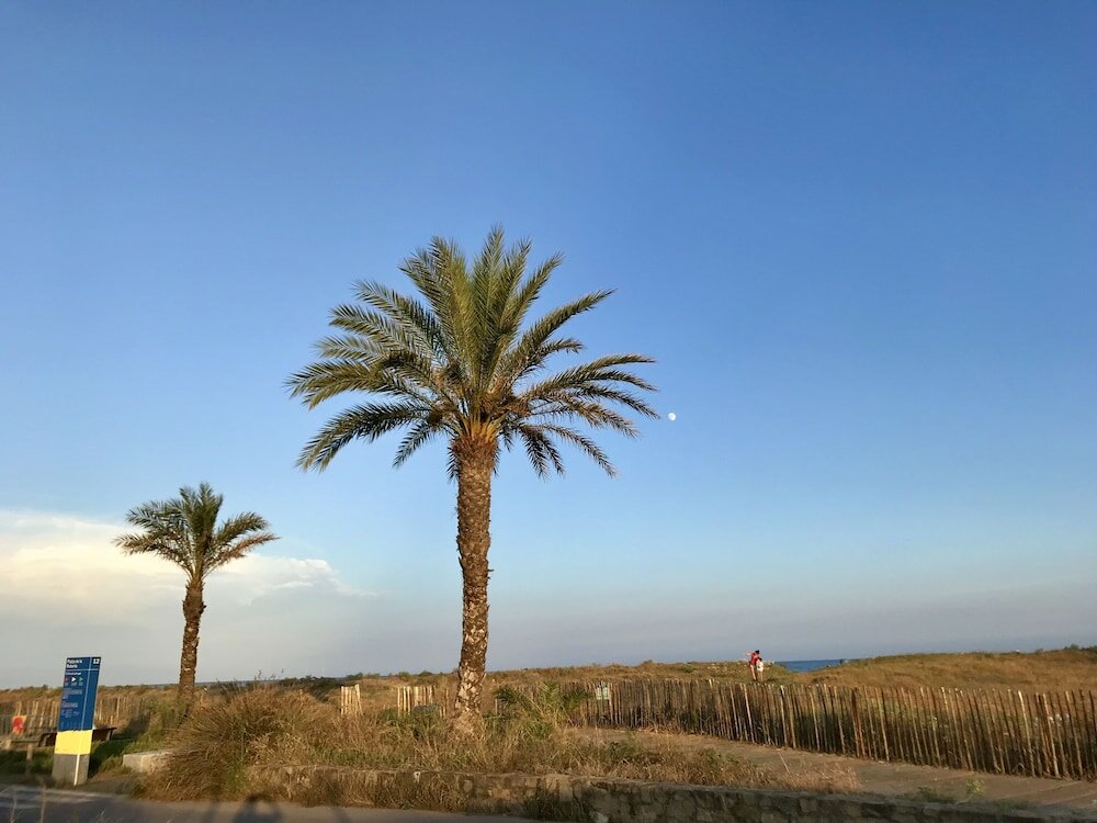 Фото Mucha Masia Hostel Rural-Urbà