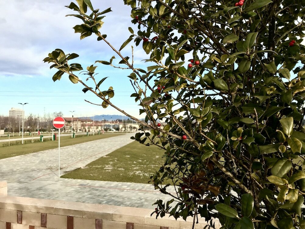 Фото Camping Verona Village