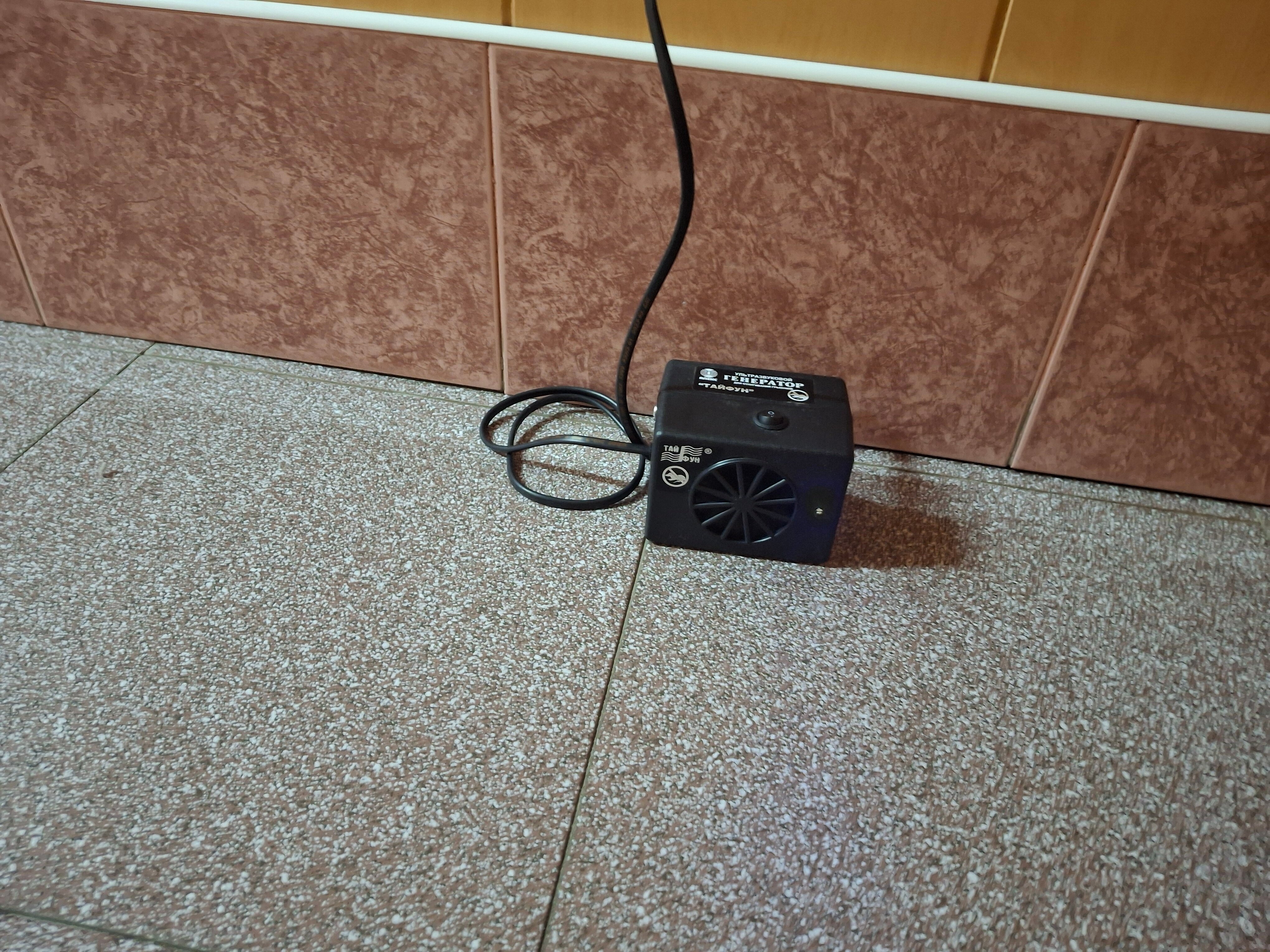 Фото Залужье 365