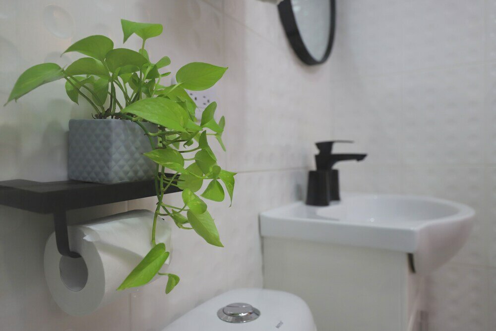 Фото Unique Hotel - Dream 12 Hotel