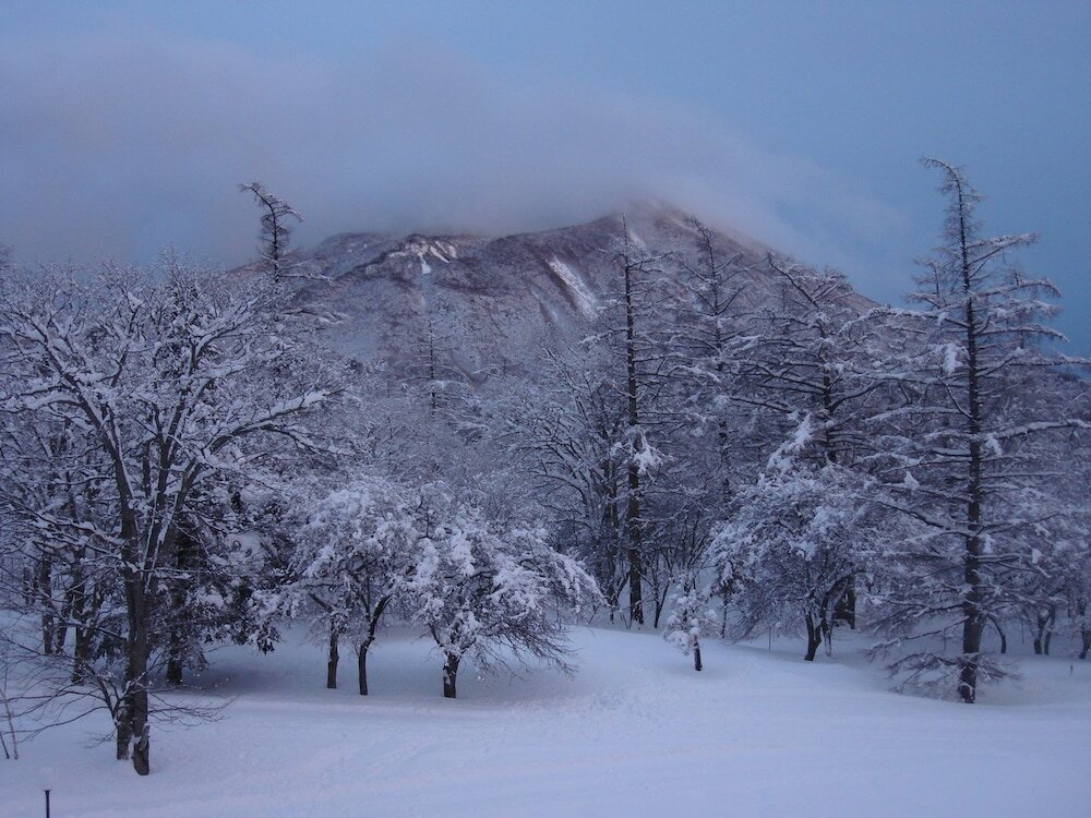 Фото Nikko Astraea Hotel