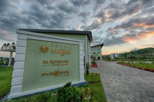 Гостиница Magus Hotel в Марамуреше