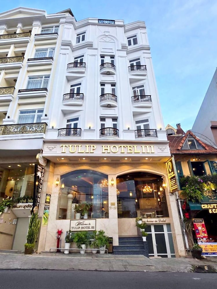 Фото Tulip Hotel 3