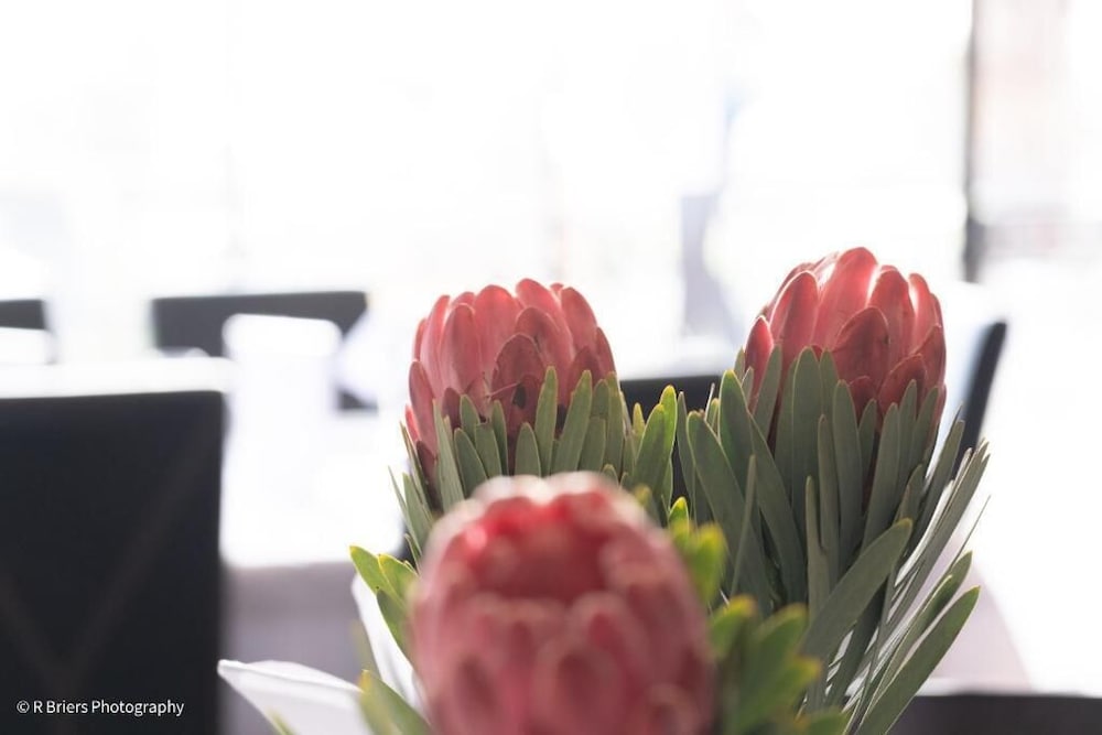 Фото Woodbridge Lodge