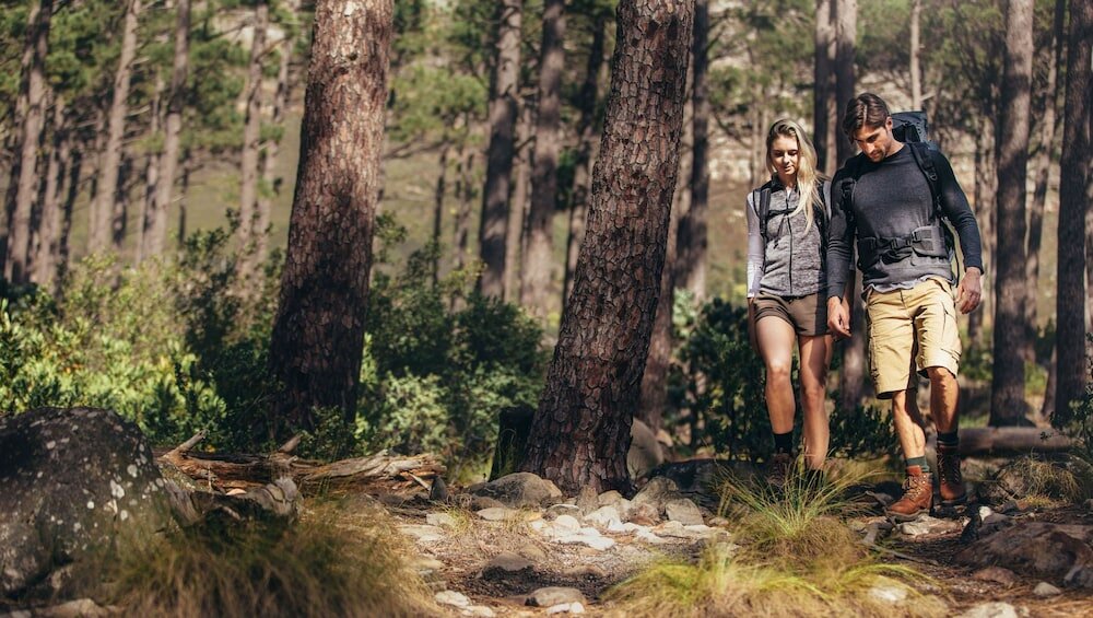 Фото Royal Inn Rockville