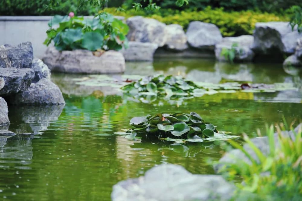 Фото Holiday Inn Express Zhengzhou, an Ihg Hotel