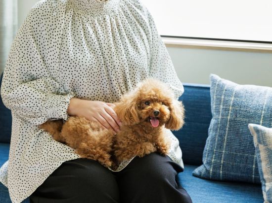 Фото Fairfield by Marriott Gifu Seiryu Satoyama Park