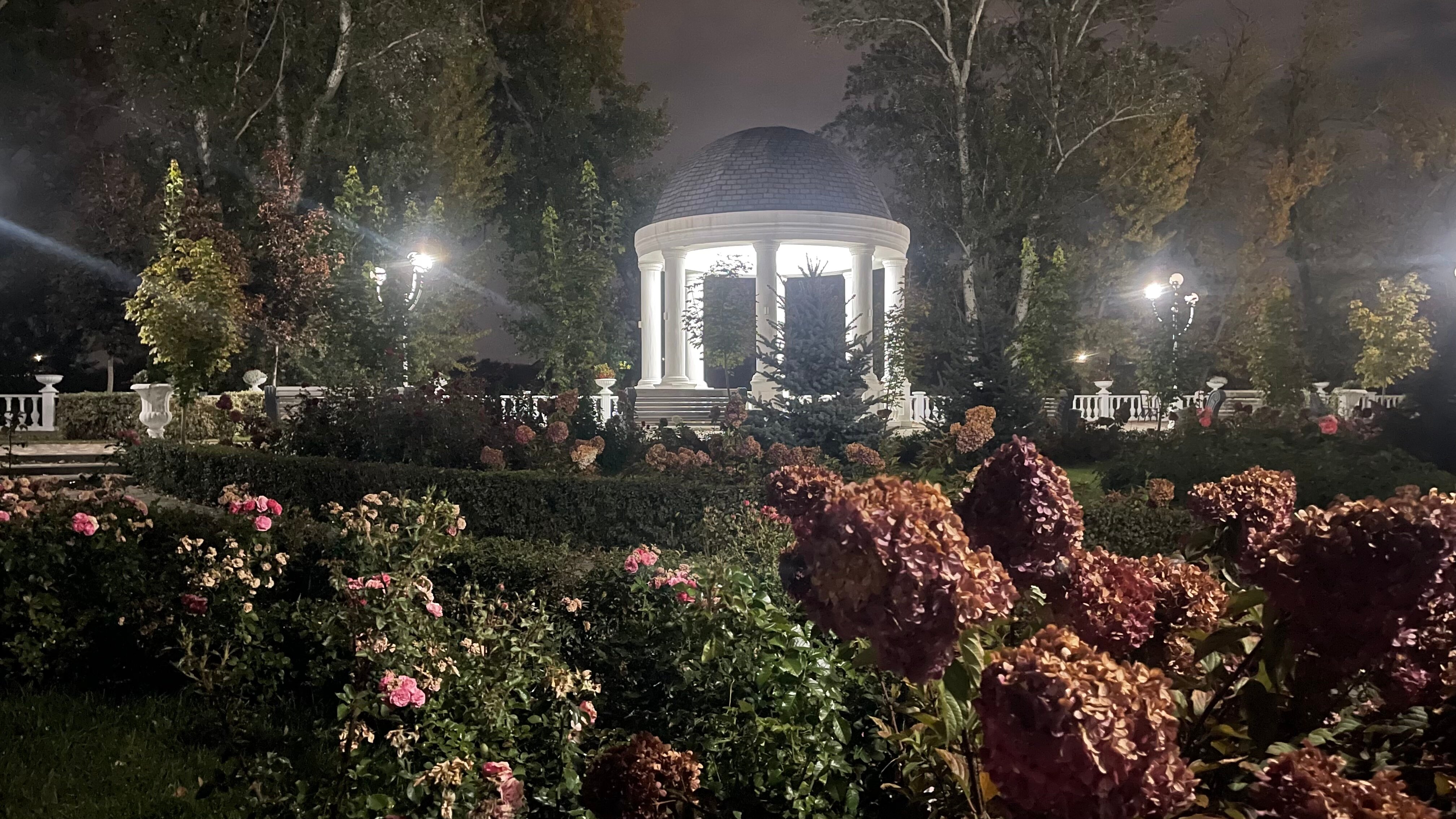 Фото Жемчужина