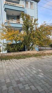 Aizanoi Ancient City Cavdar Hisar (Kütahya, Hisarcık, Yenidoğan Mah., Etikent Hakkı Ocak Sitesi), landmark, attraction