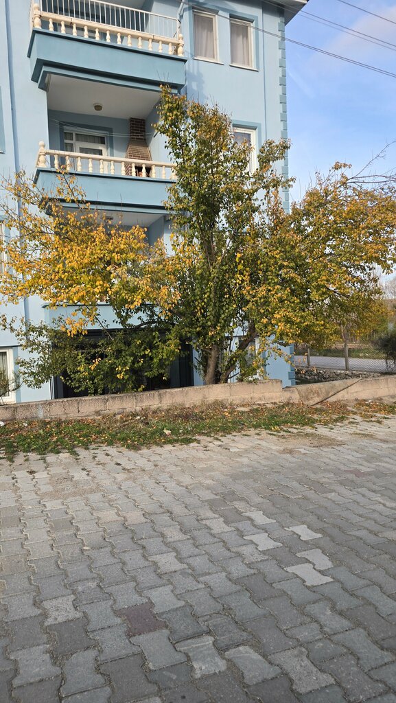 Landmark, attraction Aizanoi Ancient City Cavdar Hisar, Hisarcik, photo