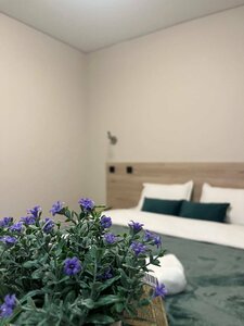 Гостиница Fan House