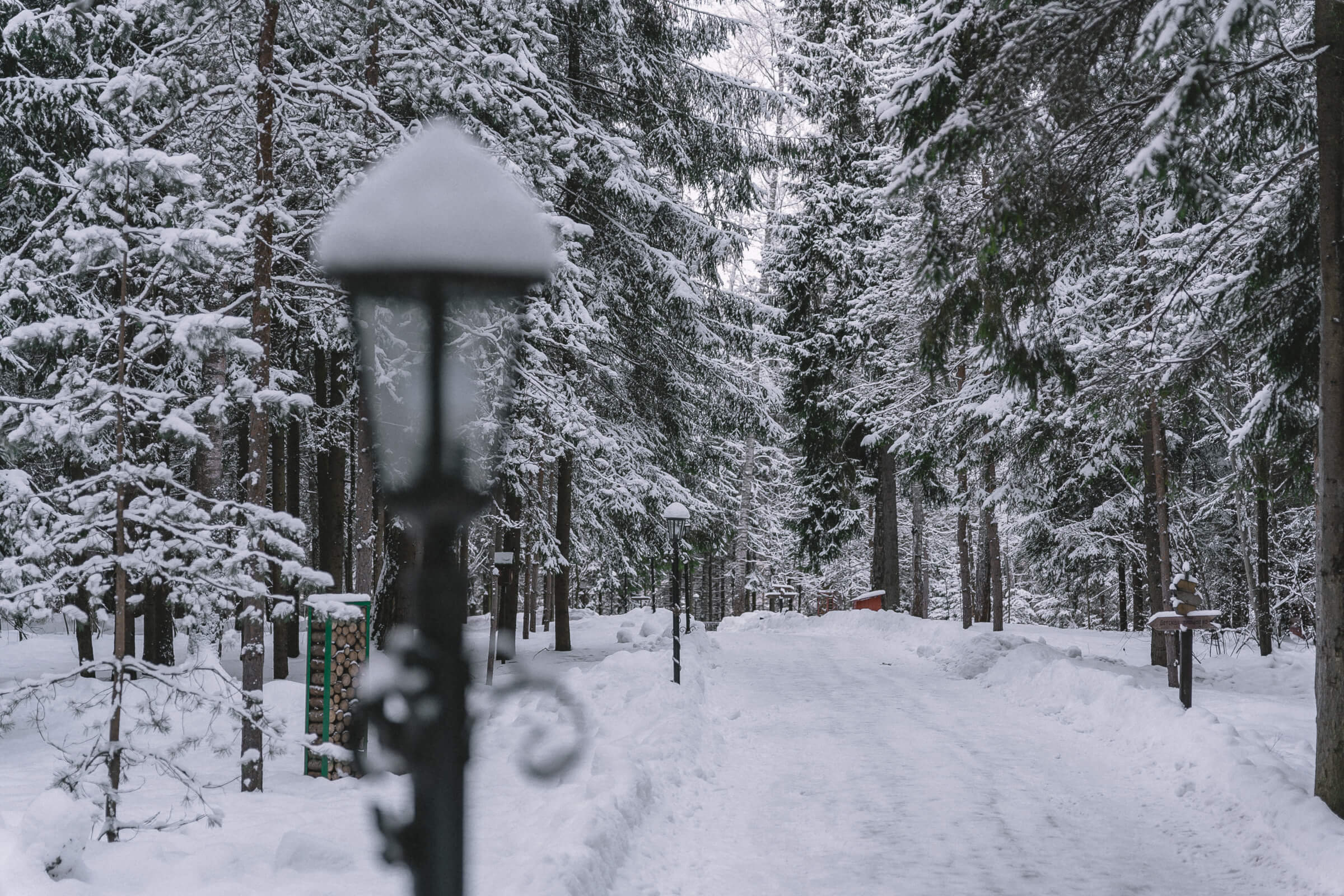 Фото Истра Холидей