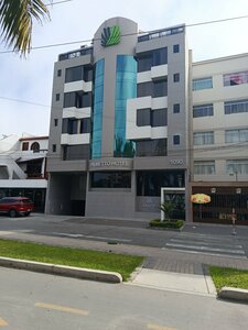 Гостиница Palmetto Hotel