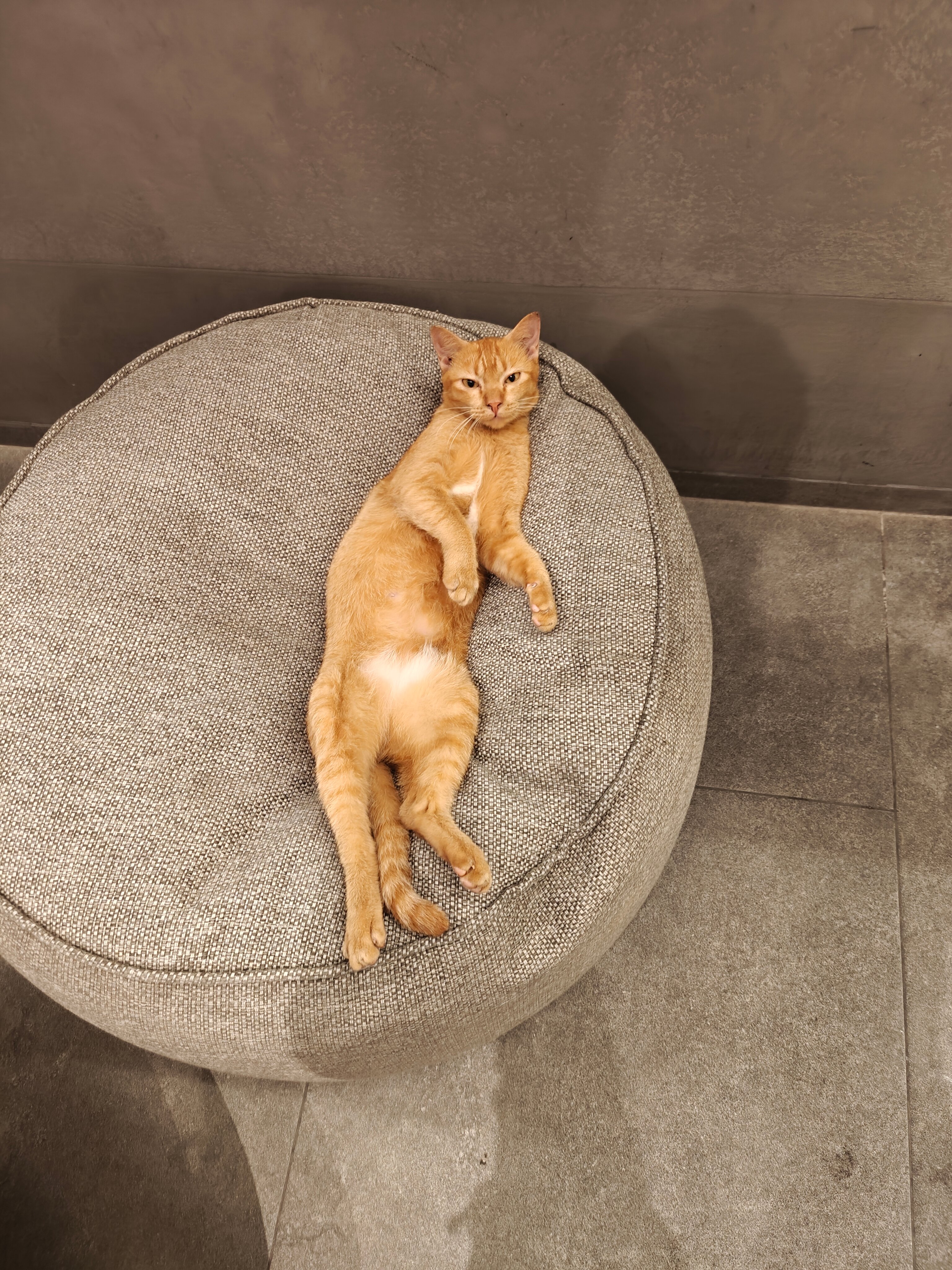 Фото JonoX Phuket Karon Hotel